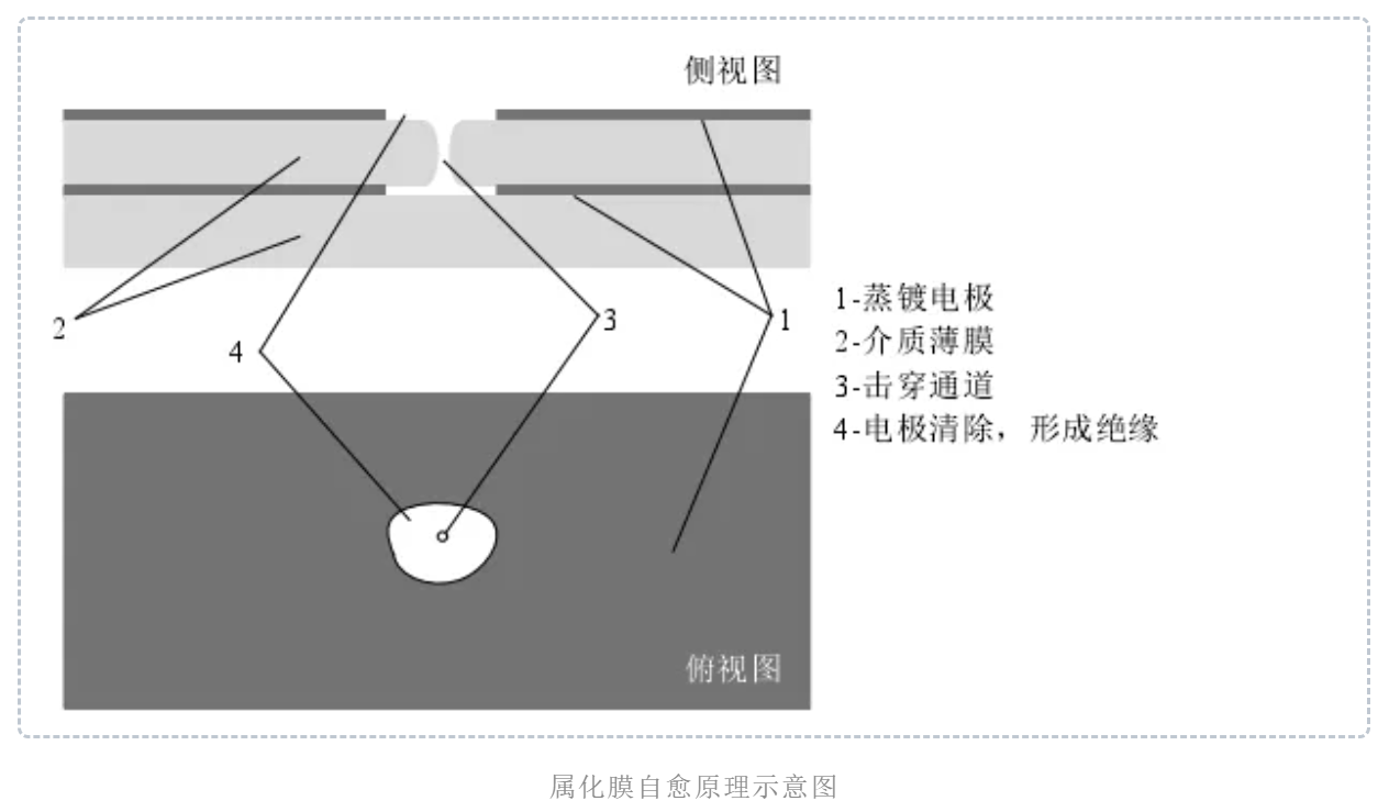 管家婆三肖期期中特